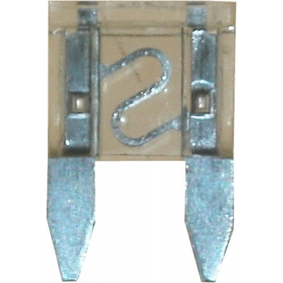 25 Amp Mini Blade Fuses