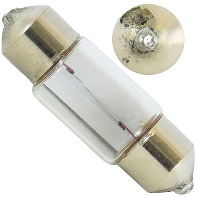 6V 10W SV8.5-8 31mm Festoon Bulbs