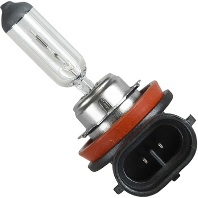 12V 35W H8 Halogen Headlight Bulb