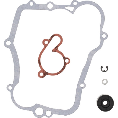 WRP 821613 Water Pump Rebuild Kit