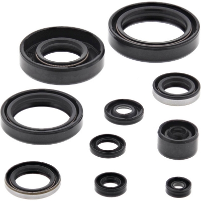 WRP 822101 Oil Seal Kit