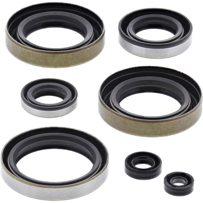 WRP 822102 Oil Seal Kit