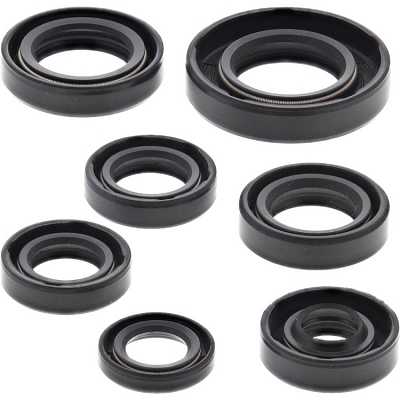 WRP 822105 Oil Seal Kit