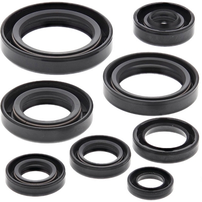 WRP 822106 Oil Seal Kit