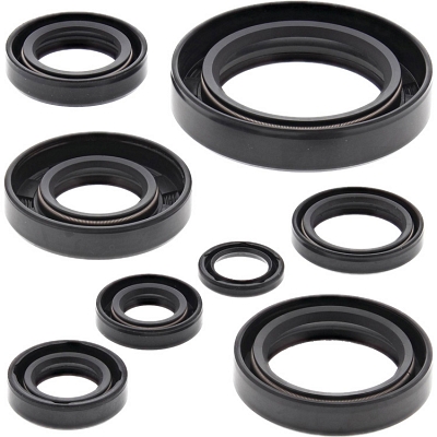 WRP 822108 Oil Seal Kit