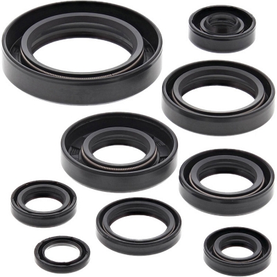 WRP 822109 Oil Seal Kit