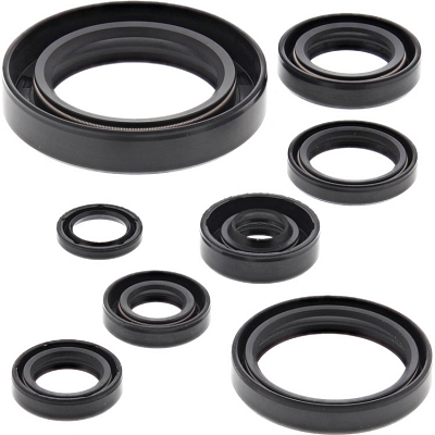 WRP 822110 Oil Seal Kit