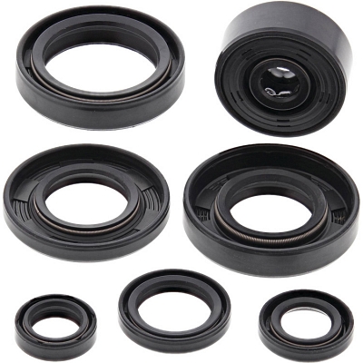 WRP 822113 Oil Seal Kit