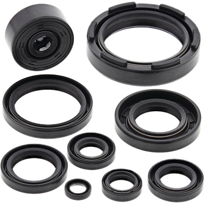 WRP 822117 Oil Seal Kit