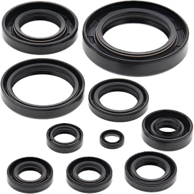 WRP 822118 Oil Seal Kit