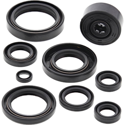 WRP 822119 Oil Seal Kit