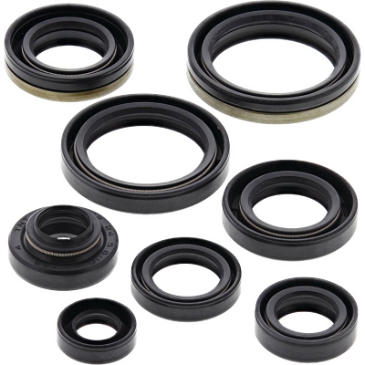 WRP 822125 Oil Seal Kit