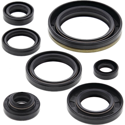 WRP 822126 Oil Seal Kit