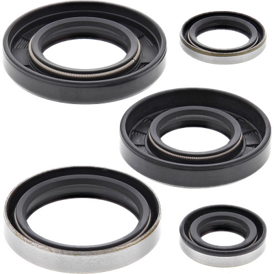 WRP 822129 Oil Seal Kit