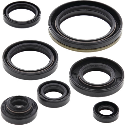 WRP 822134 Oil Seal Kit