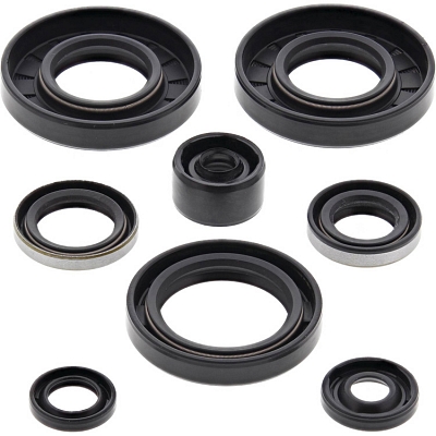 WRP 822135 Oil Seal Kit