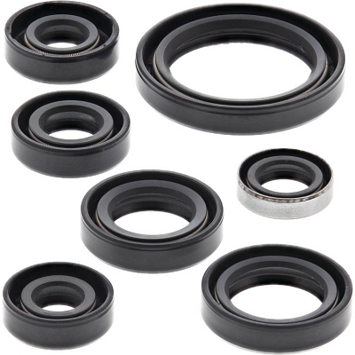 WRP 822136 Oil Seal Kit