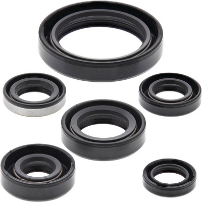 WRP 822137 Oil Seal Kit