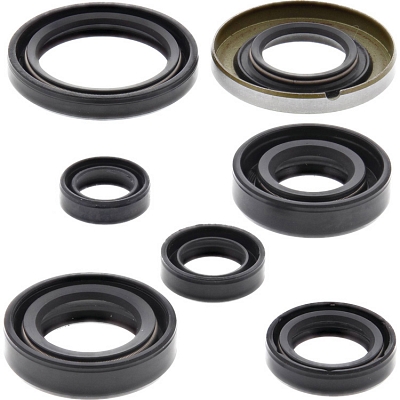 WRP 822160 Oil Seal Kit