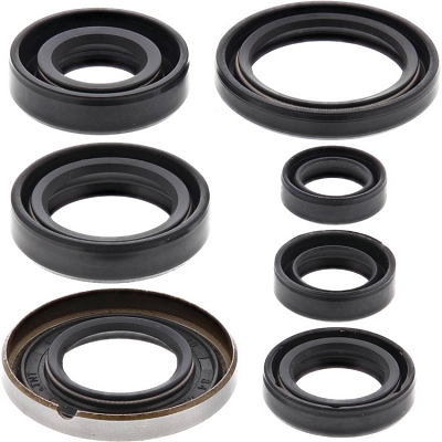 WRP 822161 Oil Seal Kit