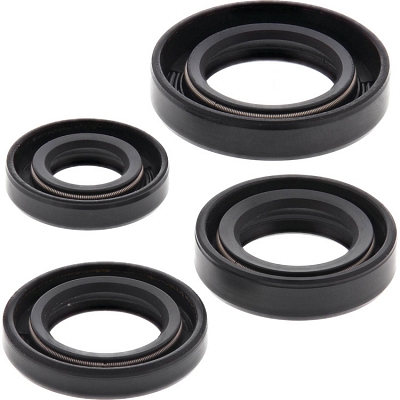 WRP 822163 Oil Seal Kit