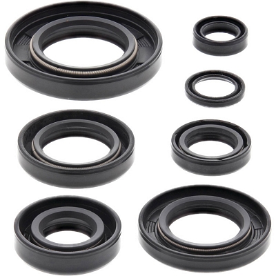 WRP 822164 Oil Seal Kit