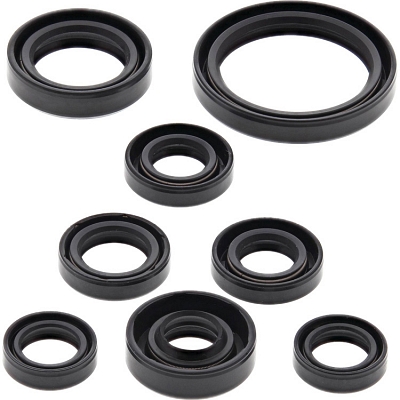 WRP 822167 Oil Seal Kit