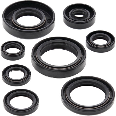 WRP 822173 Oil Seal Kit