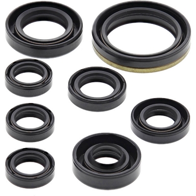 WRP 822175 Oil Seal Kit