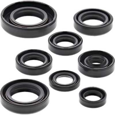 WRP 822181 Oil Seal Kit