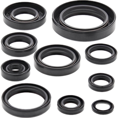 WRP 822182 Oil Seal Kit