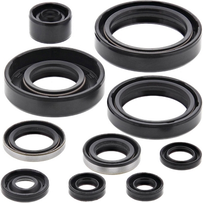 WRP 822183 Oil Seal Kit