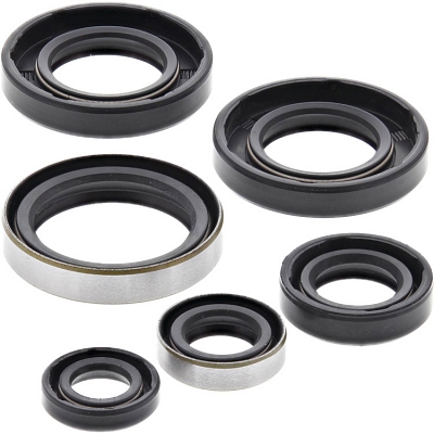 WRP 822185 Oil Seal Kit