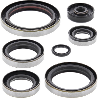 WRP 822192 Oil Seal Kit