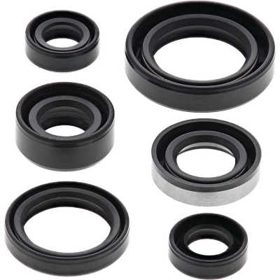 WRP 822194 Oil Seal Kit