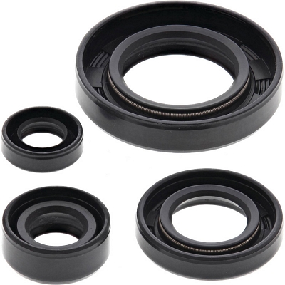 WRP 822195 Oil Seal Kit