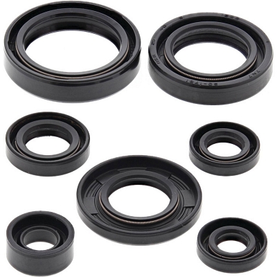 WRP 822197 Oil Seal Kit