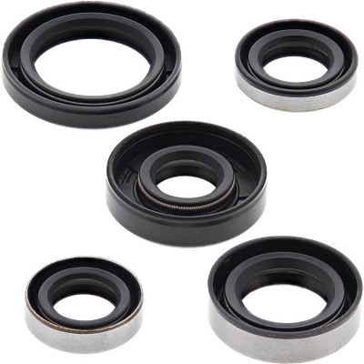 WRP 822216 Oil Seal Kit