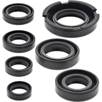 WRP 822219 Oil Seal Kit