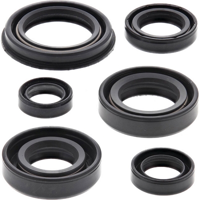 WRP 822220 Oil Seal Kit