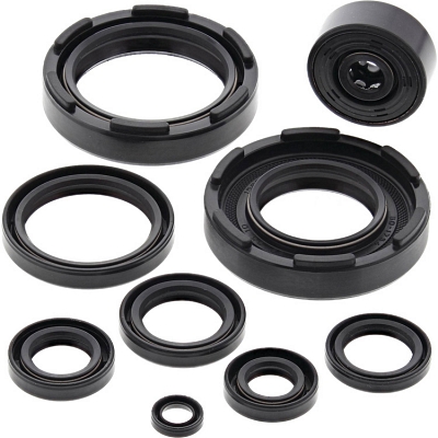 WRP 822221 Oil Seal Kit