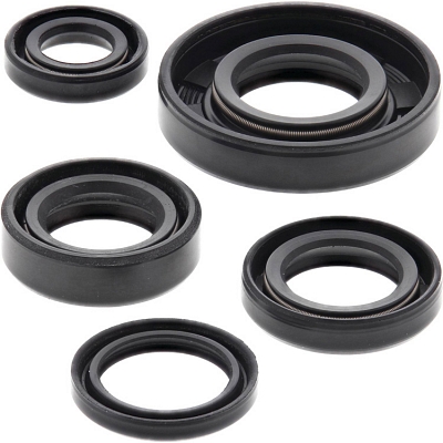 WRP 822222 Oil Seal Kit