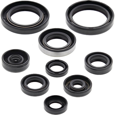 WRP 822223 Oil Seal Kit