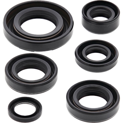 WRP 822224 Oil Seal Kit