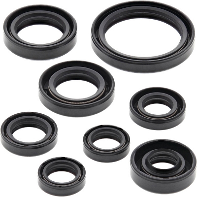 WRP 822228 Oil Seal Kit