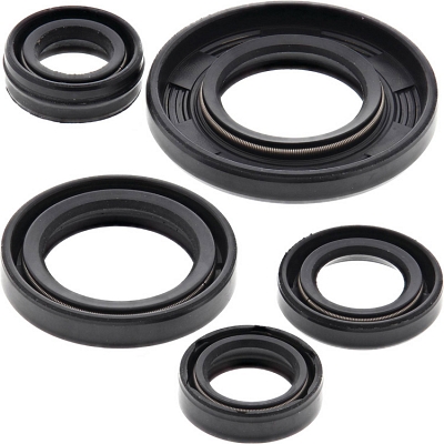 WRP 822240 Oil Seal Kit