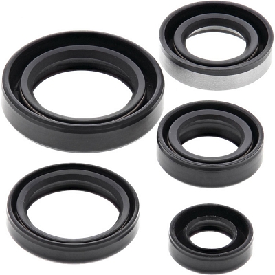 WRP 822245 Oil Seal Kit