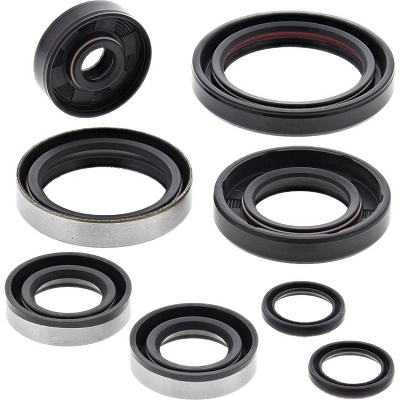 WRP 822264 Oil Seal Kit