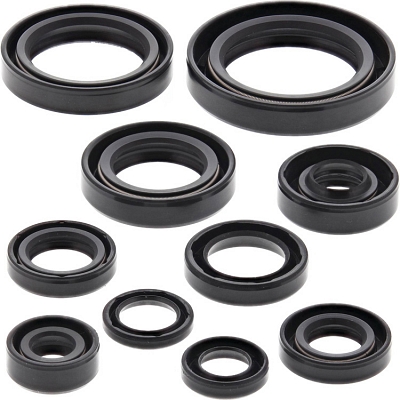 WRP 822265 Oil Seal Kit