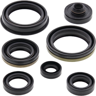 WRP 822266 Oil Seal Kit